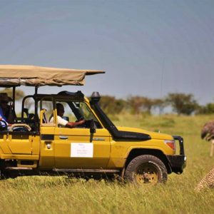 Explore the diverse landscapes and witness the unique wildlife at Samburu